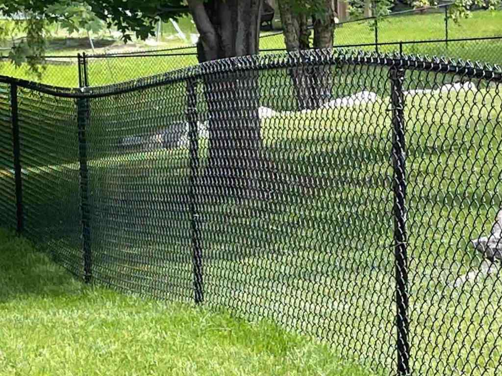 Chain Link fence solutions for the West Metro Minnesota area
